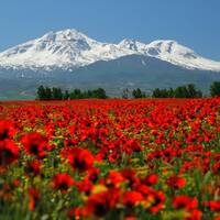 Sabalan Mountain